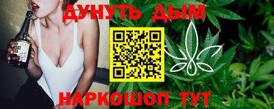 индика Камышлов