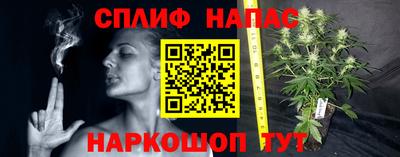 спиды Кандалакша