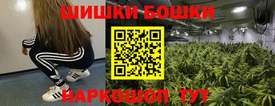 индика Камышлов