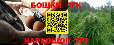 индика Камышлов