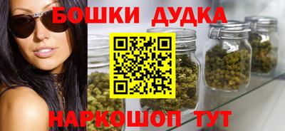 индика Камышлов