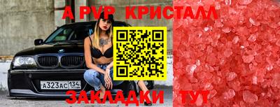 спиды Кандалакша