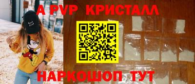 индика Камышлов