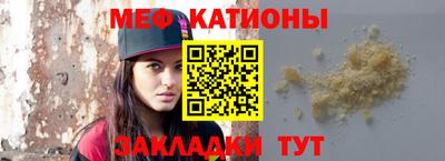 индика Камышлов
