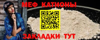 индика Камышлов
