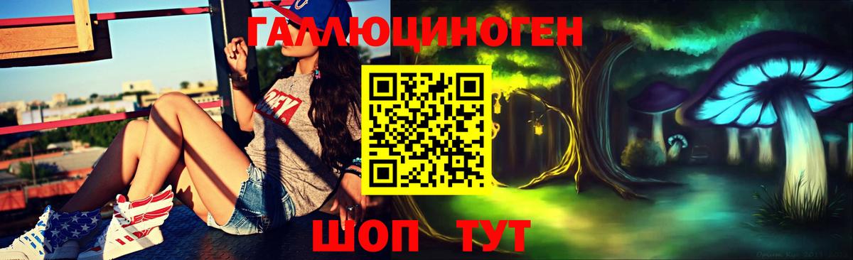 Ленинск-Кузнецкий  Псилоцибиновые грибы Psilocybine cubensis  Вход с VPN 